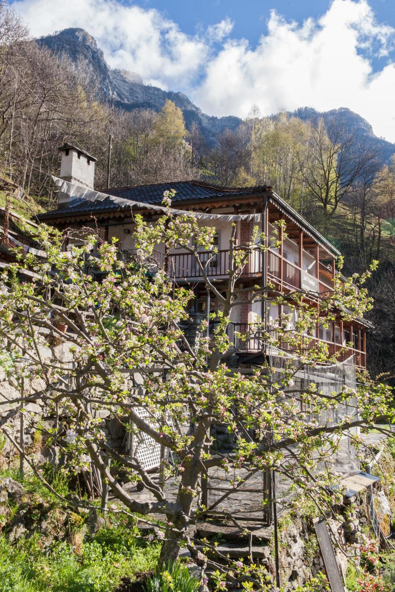 Bed And Breakfast Da Toldo Russo エクステリア 写真